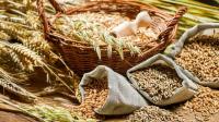 The largest grain-producing countries The largest grain-producing countries