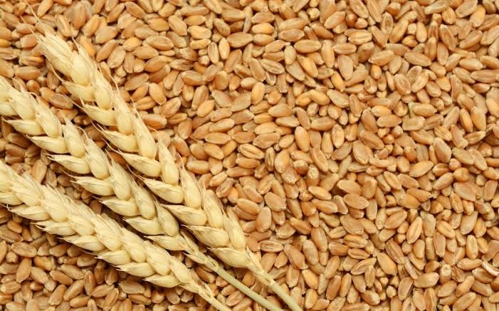 China Holds the World’s Largest Wheat Reserves