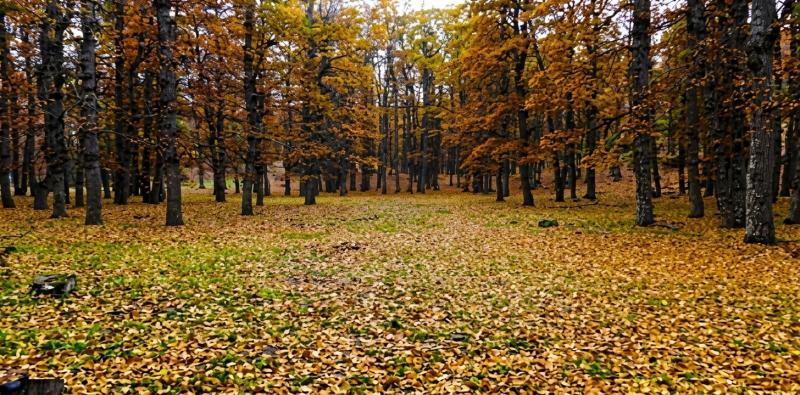 Top 10 Must-Visit Tourist Destinations in Akkar