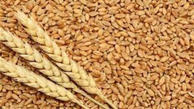 Lebanon's Wheat Stock: Are We Facing a Crisis?