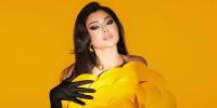 ثروة هيفاء وهبي