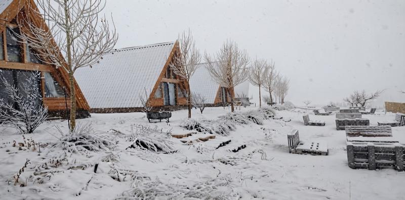 How Much Does a Trip to Faraya Cost? Skiing, Dining, and Accommodation Prices