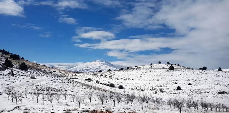 Discover the Best Budget-Friendly Snow Spots in Lebanon for a Fun Day Out
