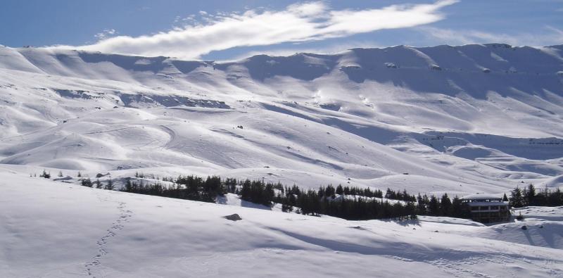 Where to Experience Snow with Children in Lebanon