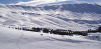 Faria Farya