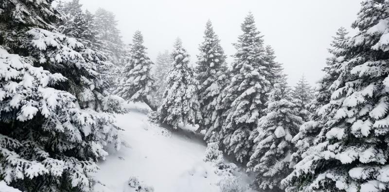 Discover the Winter Wonders of Akkar: Best Spots to See the Snow