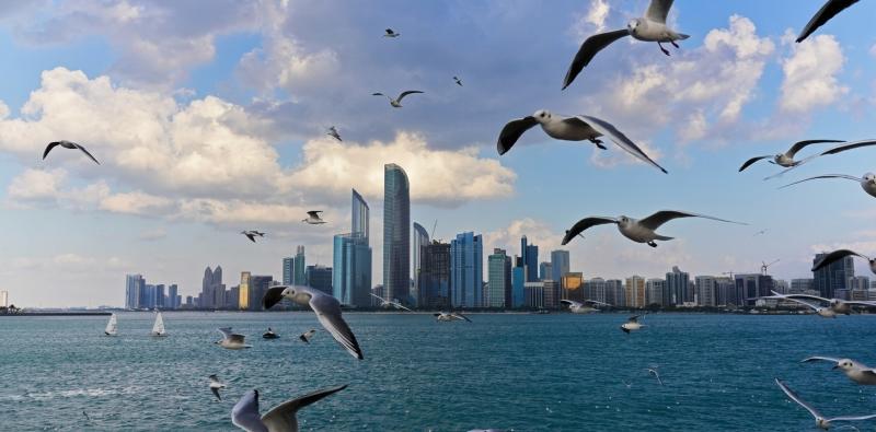 Top 10 Tourist Attractions in Abu Dhabi You Must Visit