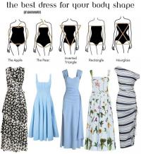 How do you know your body shape? How do you know your body shape?