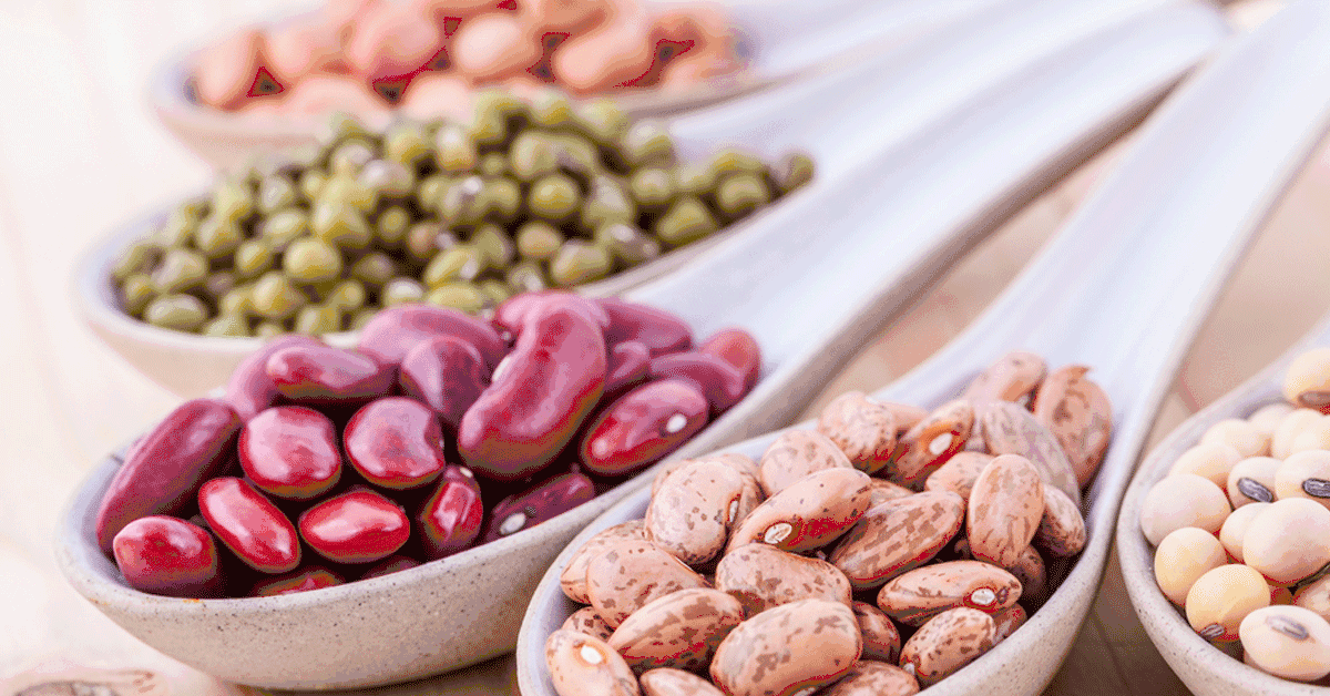 Legumes Legumes