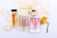 أفضل العطور النسائية للشتاء
أفضل العطور النسائية للشتاء