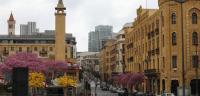 شارع فوش شارع فوش