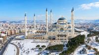 Turkey during the winter