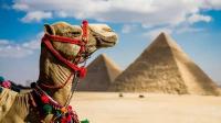 Egypt Egypt