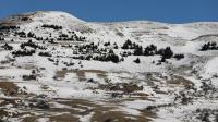 متى يتساقط الثلج في لبنان؟ متى يتساقط الثلج في لبنان؟