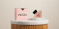 Prada Paradoxe Prada Paradoxe