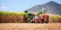 Sugar production Sugar production