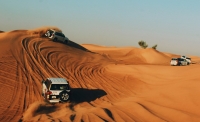 UAE Safari