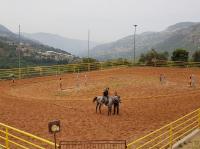 Aley Equestrian Club