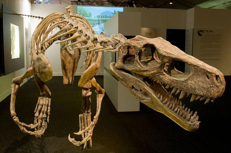 نظرية تكشف تفاصيل جديدة حول انقراض الديناصورات