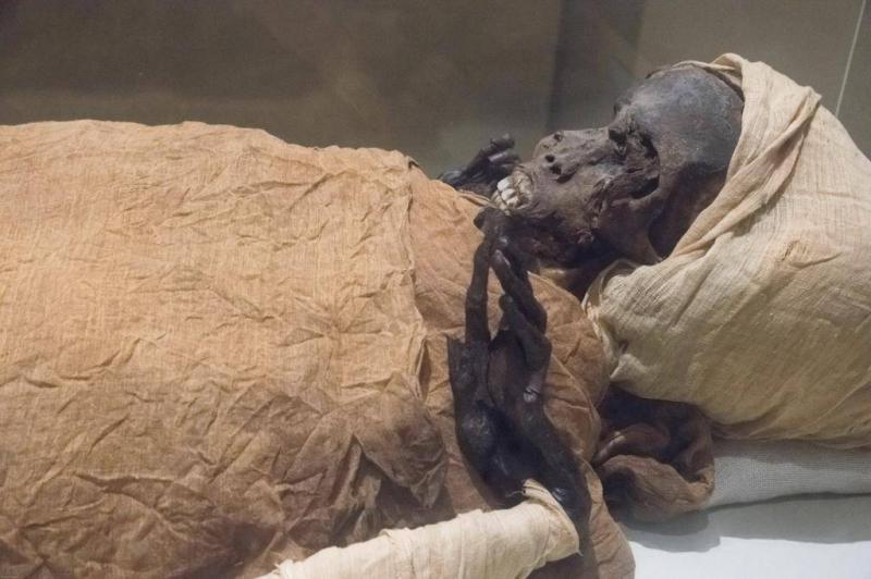 كشف تفاصيل وفاة فرعون مصري محنط بواسطة التصوير المقطعي المحوسب