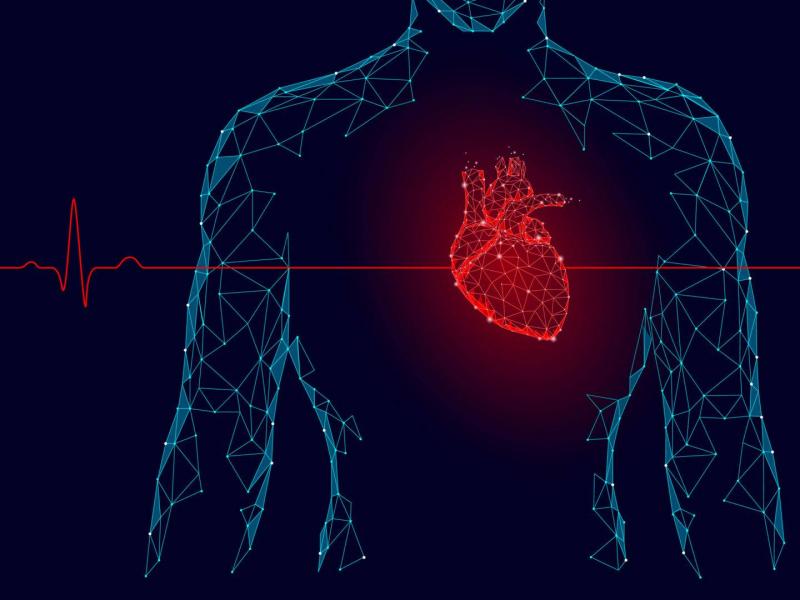 باحث يكتشف آلية جديدة لمنع الموت القلبي المفاجئ