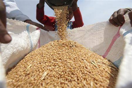 في مصر.. شراء 2.7 مليون طن من القمح المحلي