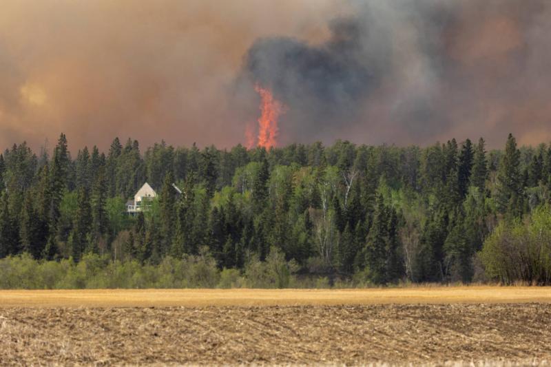 حرائق الغابات تجتاح كندا