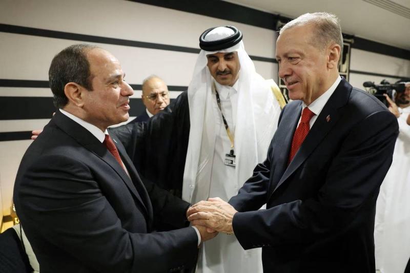 السيسي وأردوغان اتفقا على تبادل السفراء