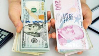 الليرة التركية تهبط مع تعيين شيمشك وزيرًا للمالية