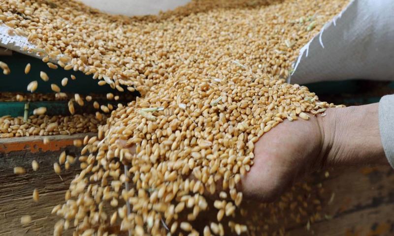 الكرملين: يبدو أنه لا فرصة لتمديد اتفاق الحبوب
