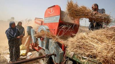 اتفاق مقايضة بين الهند ومصر.. حبوب وسلع وغاز