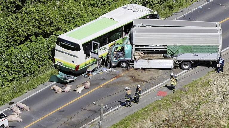 بالفيديو- قتلى وجرحى في اصطدام شاحنة بحافلة في اليابان