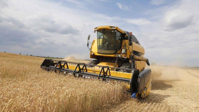 أوكرانيا تبدأ حصاد الحبوب لعام 2023