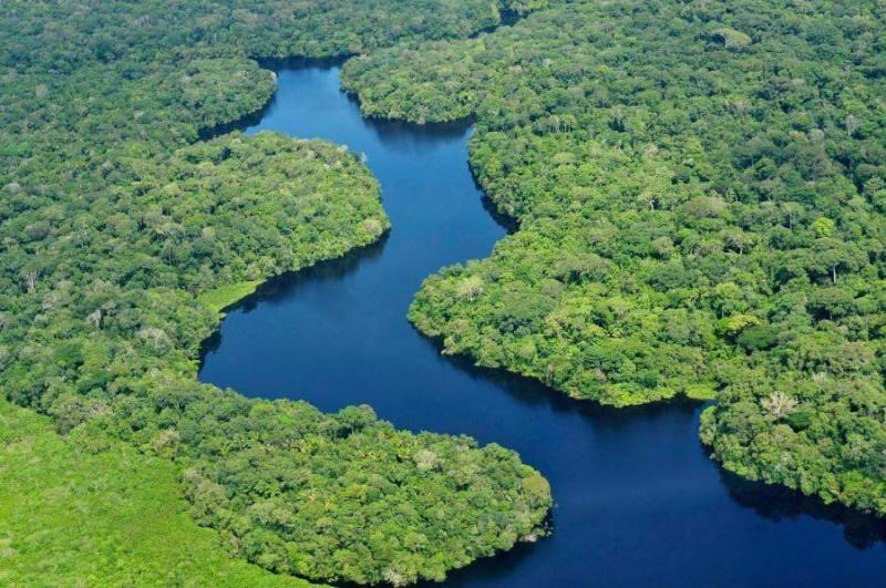 العالم يفقد 41 ألف كيلومتر مربع من الغابات الإستوائية