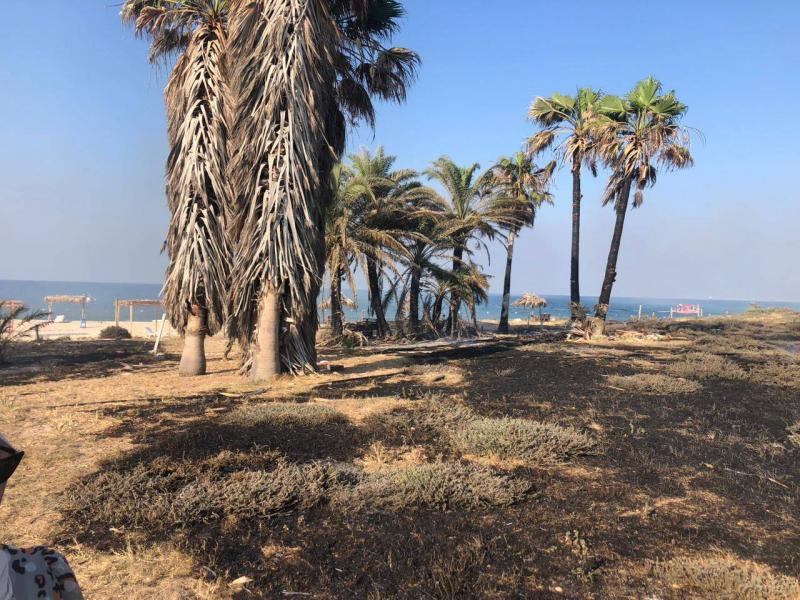 إقفال محمية جزر النخيل.. لضرورات التحقيق