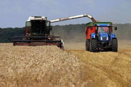 تونس تسعى لشراء 100 ألف طن من القمح