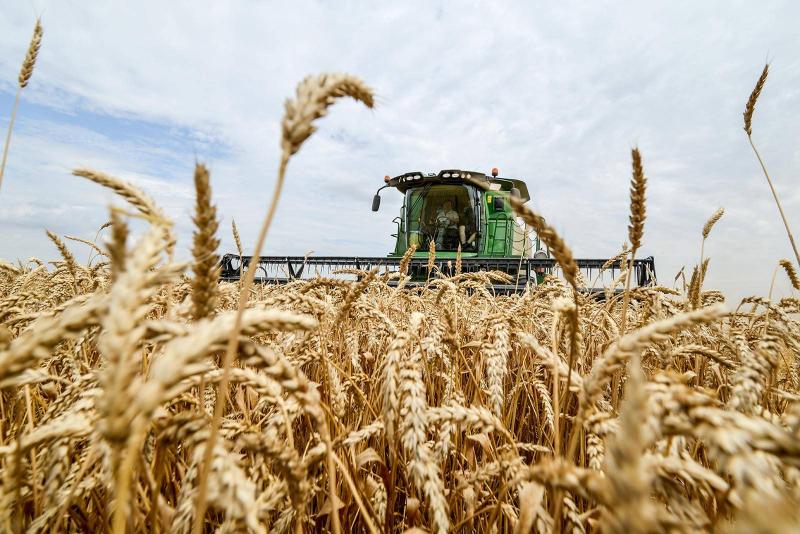 أوكرانيا تبدأ موسم تصدير الحبوب الجديد بكميات ضئيلة
