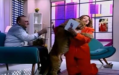 أسد يعض الفنانة مادلين طبر.. وهذا ما حدث