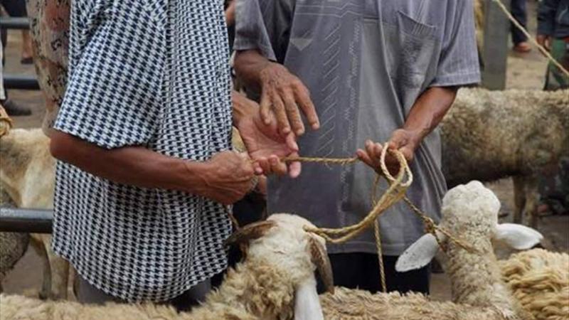 محافظ بيروت يمنع ذبح المواشي أمام الملاحم أو على الأرصفة