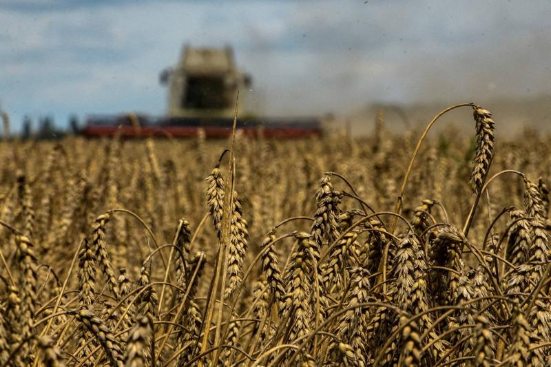روسيا تلغي ضمانات سلامة الملاحة بانسحابها من اتفاق الحبوب