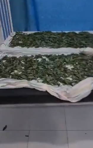 سوريا تقفل مستشفى.. والسبب حاضنة أطفال بالملوخية