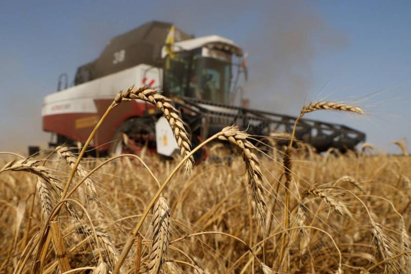 الأمم المتحدة ترسل اقتراحا لبوتين لإنقاذ اتفاق تصدير الحبوب