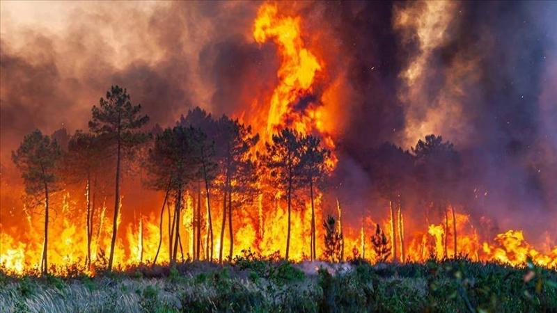 مقتل ثلاثة في إيطاليا مع اجتياح حرائق الغابات جزيرة صقلية