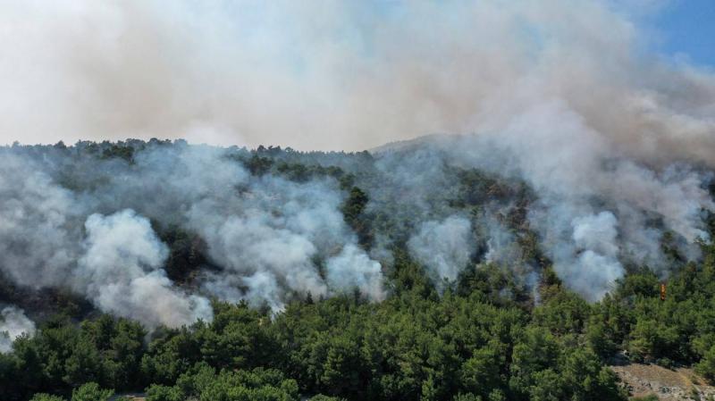 تراجع حدّة حرائق الغابات في اليونان