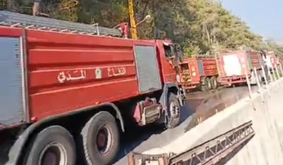 بالفيديو-موجة الحر تأخذ غابات لبنان في طريقها