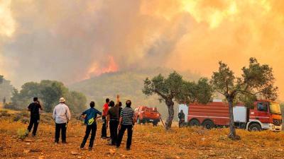 بالفيديو - مقتل شخص بانهيار جسر ... وإجلاء المئات من الحرائق في اليونان