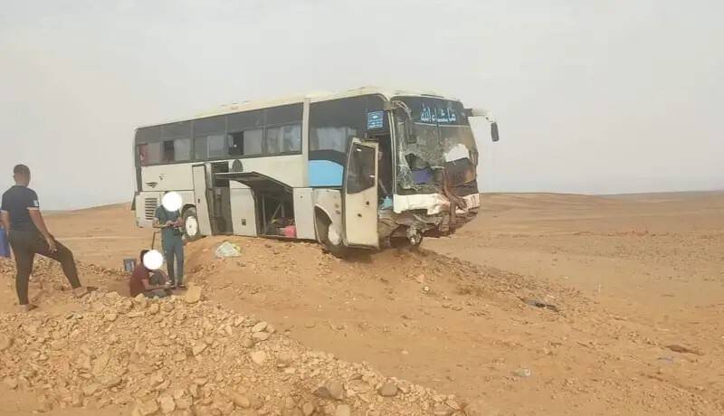 إصابة 7 أشخاص إثر اصطدام حافلة بجمل في الجزائر