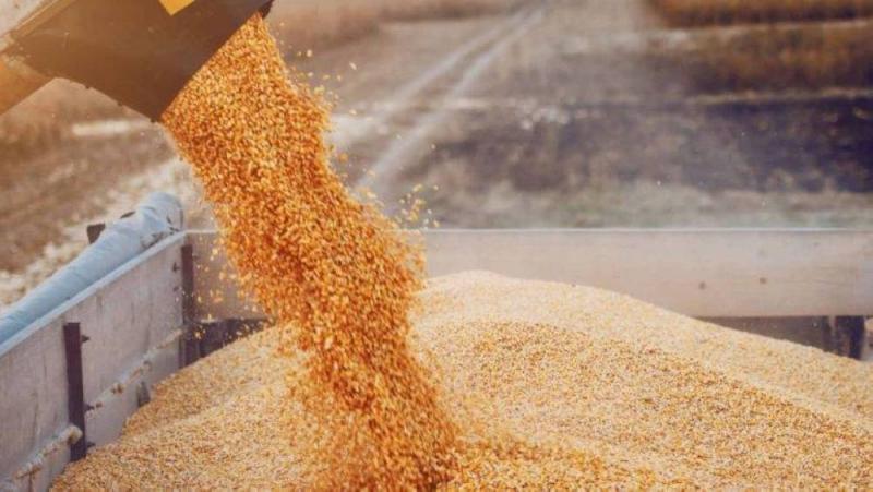 صادرات الحبوب الأوكرانية بلغت 3.12 مليون طن