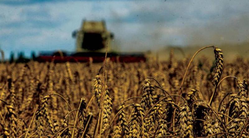 الحبوب الأوكرانية.. هل ستتم عملية التصدير عبر لاتفيا؟