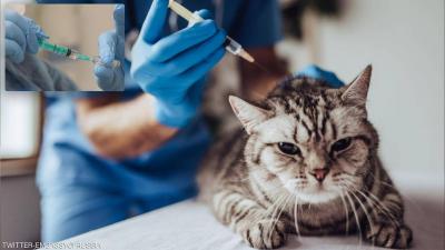 روسيا تنتج أول دفعة من لقاح كوفيد للحيوانات